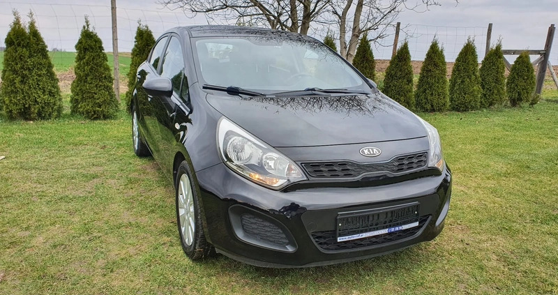 Kia Rio cena 24900 przebieg: 171272, rok produkcji 2011 z Tarnów małe 79